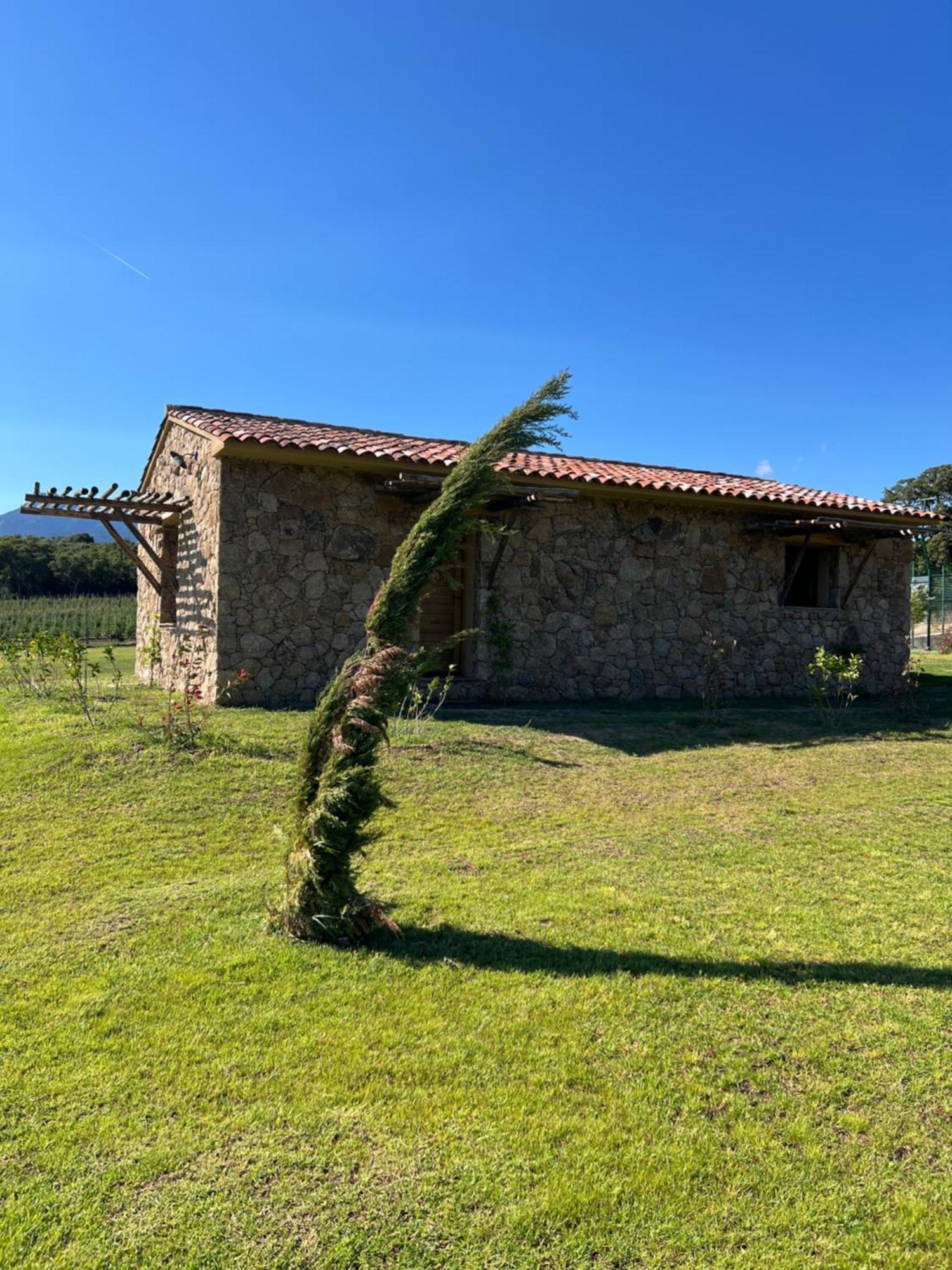 Domaine Pozzo Di Mastri Hotel & Spa Фигари Экстерьер фото